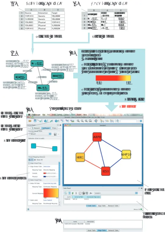 図 4.5 Cytoscape のフレームワーク