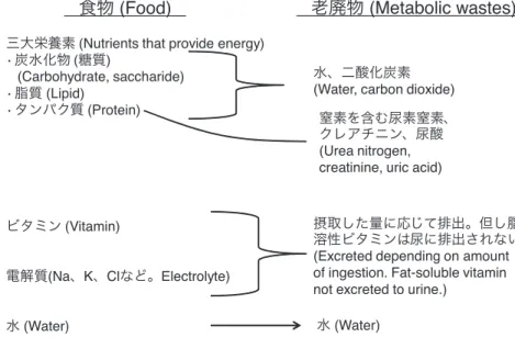 図 1.3 尿に排出される老廃物および元の食物の成分 尿酸 (Uric acid) ヒトや他の霊長類では、尿酸はプリン代謝の酸化最終生成物である。 Na 、 K 、 Cl などのミネラルは電解質 *1 であるが、これらはその結合の形を変えることはあっても、そ れぞれ摂取した量に応じて排泄される。 まとめると、食べ物として摂取した栄養素の代謝産物・老廃物として体外に排出されるべき物質は主 に二酸化炭素、水、尿素窒素を中心とする窒素代謝産物と電解質である。 1.1.3 慢性腎臓病を防ぐには