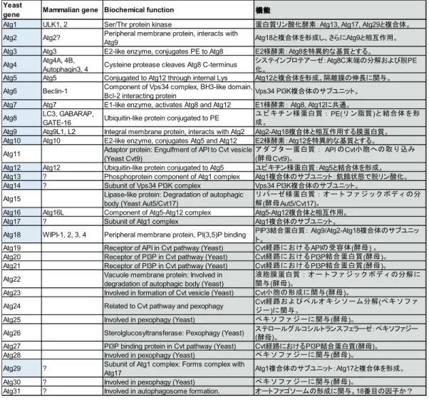 表 3.1 Atg 遺伝子とその機能 [13, 62]