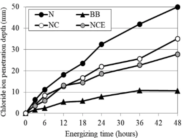 Fig. 5  Chloride ion penetration depth 