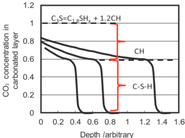 Fig. 6  CO 2  distri bution in carbonated zone under  natural condition