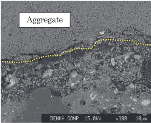 Fig. 9 SEM image （N；Natural aggregate）
