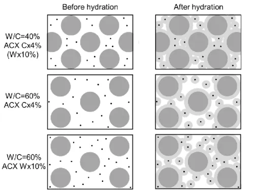Figure 11. Schematic image of cement hydration with C-S-H nanoparticles 