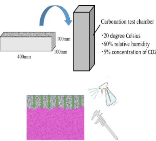 Figure 2. Salt water immersion test method  Figure 3. Accelerated carbonation test method 