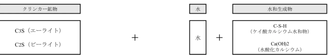 図 2-1 中 C 4 AH 13 ）を生成する．  図 2-1  セメントの水和反応 C3S（エーライト）C2S（ビーライト）C3A（アルミネート相）C4AF（フェライト相）セッコウAFt（エトリンガイト）Ca(OH)2（水酸化カルシウム） AFt （エトリンガイト）AFm （モノサルフェート水和物）C4AH13 （アルミン酸カルシウム水和物）水水C-S-H（ケイ酸カルシウム水和物）Ca(OH)2（水酸化カルシウム）クリンカー鉱物水水和生成物＋＋＋＋＋＋＋＋