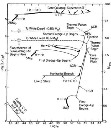Figure 7. HR 図上での星の進化経路 [2] Figure 8. 星の中心密度・温度の進化 (佐藤文隆「宇宙物理」岩波書店より) 階に移行する。縮退したコアで新しい燃料 (今回はヘリウム) の燃焼温度に達すると、核 融合で生じた熱で温度が上昇しても縮退圧はあまり影響を受けず、温度上昇に伴う反応 率の上昇が核燃焼の暴走を引き起こす。これがヘリウムフラッシュで、電子の縮退が解 ける (熱的圧力が縮退圧に勝る) 温度になって、コアが熱的圧力によって膨張し 密度が