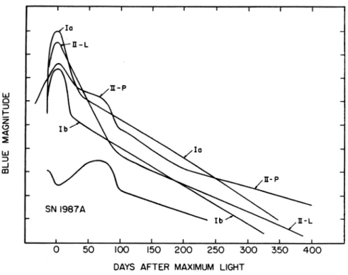 Figure 15. 超新星の典型的な光度曲線 [6]