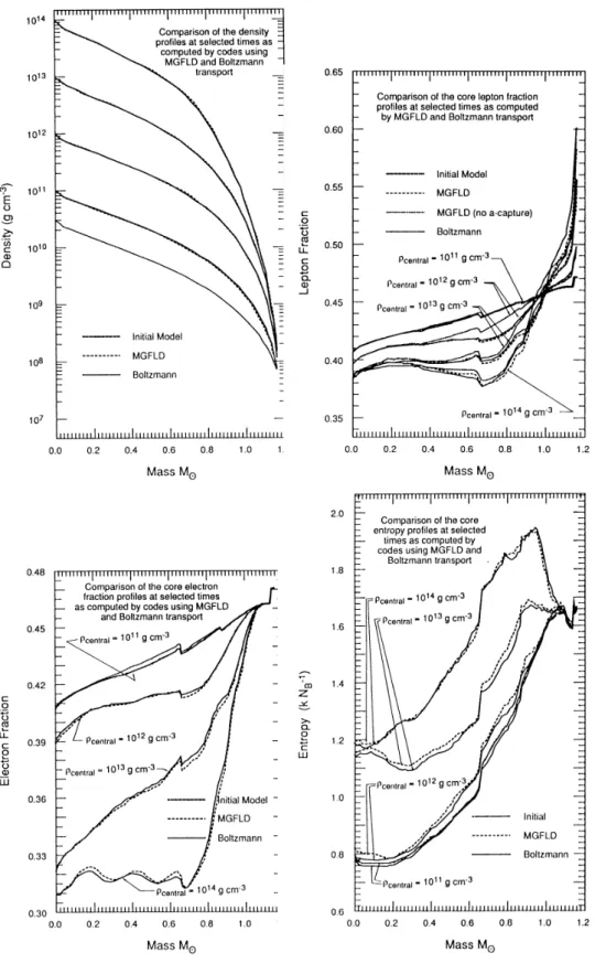 Figure 19. 重力崩壊段階の密度分布、レプトンフラクション分布、電子フラクション分 布、エントロピー分布。重力崩壊開始時と中心密度が 10 11 , 10 12 , 10 13 , 10 14 g/cm 3 になっ た時刻のスナップショットである。[13]