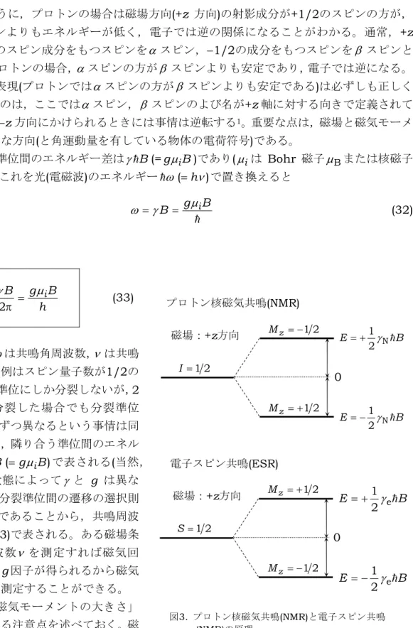 図 3 に示すように，プロトンの場合は磁場方向 (+z 方向 ) の射影成分が +1/2 のスピンの方が， −1/2 のスピンよりもエネルギーが低く，電子では逆の関係になることがわかる。通常， +z 方向に +1/2 のスピン成分をもつスピンを α スピン， −1/2 の成分をもつスピンを β スピンと 呼ぶので，プロトンの場合， α スピンの方が β スピンよりも安定であり，電子では逆になる。 しかし，この表現 ( プロトンでは α スピンの方が β スピンよりも安定である ) は必ずしも正しく ない。と