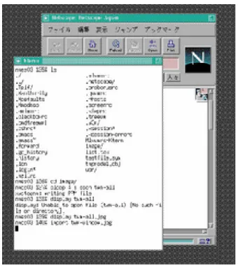 Fig. 2 twm のウインドウ