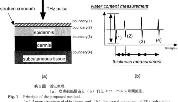 Fig.  1  Principle  of the  proposed  method.