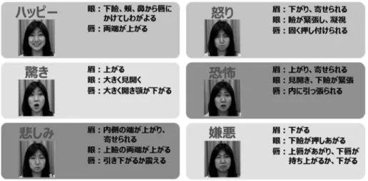 図 3 表情解析で測定される六つの基本感情 4. 光トポグラフィ装置のさまざまな活用方法 図 1 のような 4 領域での解釈がしやすい動画の評 価が先行してはいるが，さまざまなリサーチ課題に対 して活用されている．たとえば，同じ広告でも，新聞， 雑誌，カタログなどの紙媒体の評価，展示会で流すよ うな動画や web 広告の評価の事例ができてきている． 特に紙媒体の評価の場合は，アイトラッキングの機材 とあわせて，どこを見ているときに，どういった脳反 応が起きているのかをあわせて明らかにすることが可 能である．