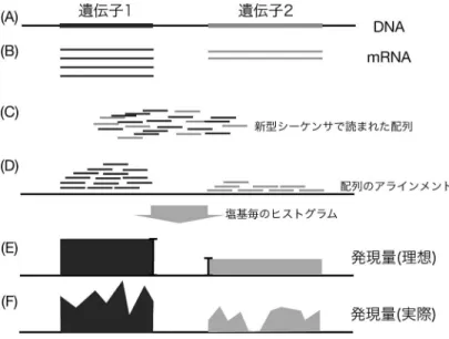 図 3 RNA-seq 法による遺伝子発現量の定量化 図 4 リシーケンシングの模式図と問題点 ヒト全遺伝子の発現量を計測する手法としてマイク ロアレイ [23] が利用されてきた．マイクロアレイは 基板上に全遺伝子に関する 1 本鎖 DNA 配列を合成し ておき，そこに mRNA を蛍光した細胞抽出液を流す． 1 本鎖 DNA は相補配列を発見して結合する性質があ り，結合したか否か，また，結合した量を蛍光の強さ を計測することで定量化する手法である．マイクロア レイで観測されたデータの解析には多数の機械