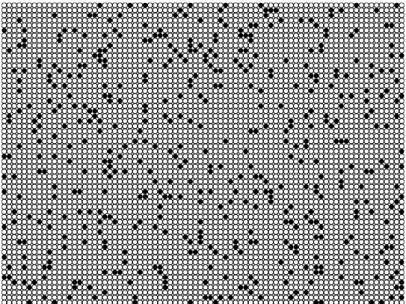 図 2.4 白 9 個に対して黒 1 個の割合で混ざった碁石をランダムに敷き詰めてできたパターン 打率が 0.25 の打者の例を考えてみよう．いま，この打者が 3 連続でアウトになったと する．さて次に起きることとして，次の 2 つの予想のどちらが正しいのだろうか． 確率の「流れ」を考える人 打率 0.25 ということは， 4 打席に 1 回はヒットになるとい うことだ．今 3 打席アウトになったところだから，そろそろヒットになってもいい はずだ． 確率は変らないと考える人 打率 0.25 ということは，ど