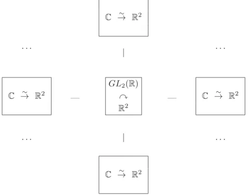 Fig. 2.2: Numerous one-dimensional complex linear structures