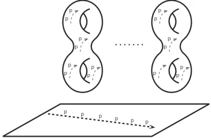 Fig. 2.4: Frobenius liftings on hyperbolic curves and their moduli thought of as “p-adic metric ﬂows”