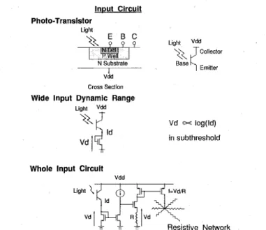 Fig. 4. The width of the convolution kernel increases as the l/4th power of the grounded resistor.