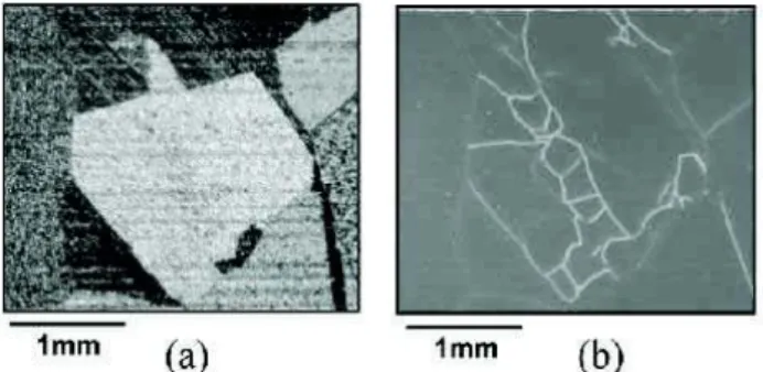 図 8 開発した STM-SQUID 装置の外観と搭載したク    ライオスタットヘッドの様子．ヘッドの先は，    アクリルキャプごとプローブを交換できる． 図 7 STM-SQUID のブロックダイアグラム．STM で   プローブ試料間距離制御を行うことで表面形状    像が得られ，それと同時に SQUID の出力から，   磁気像が得られる．図 6 レーザ SQUID 磁気顕微鏡で測定した多結晶 Si 太陽電池．   (a) 光学顕微鏡像，および (b) 磁気像． 鏡により取得した磁気像である。光学