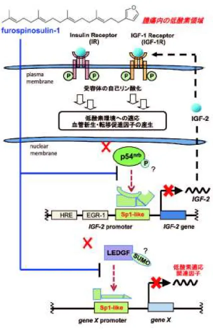 図 5 フロスピノスリン− 1 の作用メカニズム