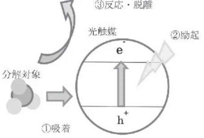 図 5 光触媒の反応プロセス 図 4 微粒子酸化チタン配合膜の紫外線カット ブランクのフィルムが 300 nm 以上の紫外光をカットできないのに対して、微粒子酸化チタン粉体を樹 脂に配合すると紫外線をカットできることが分かる。しかし、微粒子酸化チタン粉体を配合すると可視光透過率も 6 9 ％（ポリエステル樹脂に顔料濃度100PHR で配合時、膜厚 5μm）と低くなり、使用できる用途が限られる。粉体の代わりに微粒子酸化チタン分散体を使用した場合、可視領域の透過率が82％に向上しており、レンズやフィルムなど透明