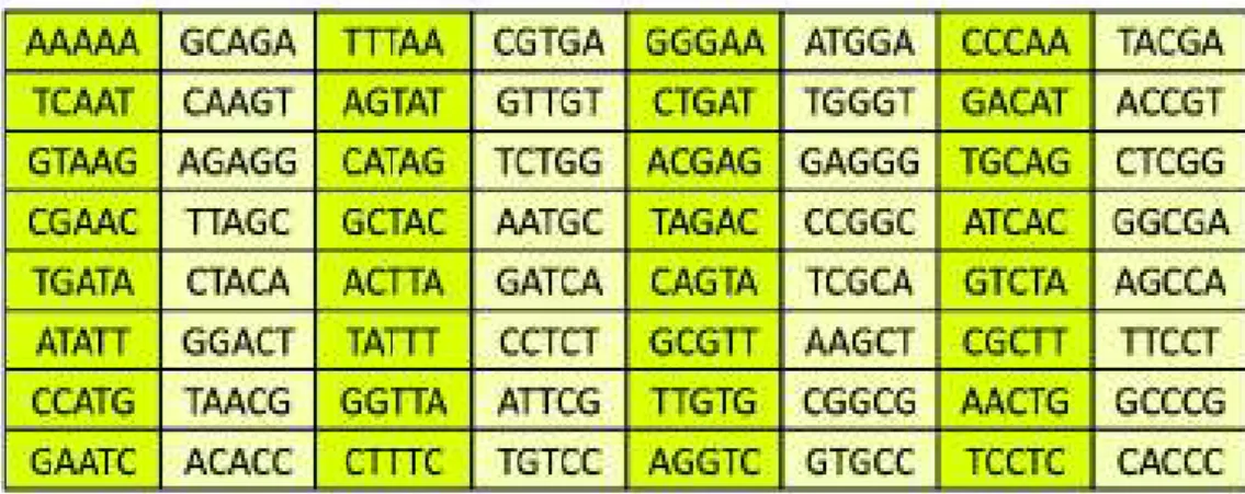 図 5 符号語へと誤り訂正される DNA 配列の例3．ガロア拡大体 GF(4) DNA 配列は 4 つの塩基で構成されるため，私の研究では前節のような 0,1 の 2 元ではなく，4 元の完全線形符号を用います．完全線形符号では，各元が加法と乗法の 2 つの演算が定義されている必要があります．これはガロア拡大体 GF(4) の要素である事を意味します．4 つの要素を 0, 1,α,α2とした場合，1 +α+α2= 0 となります．以降では，GF(4)の要素と塩基が（0, 1,α,α2）=（A, C, G, 