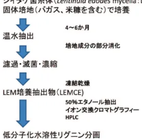図 1 シイタケ菌糸体培養抽出物（LEMCE）の作成と    有効成分の分画LEMCE の効果について検討を行った。四塩化炭素をマウス腹腔に週 2 回、4 週間投与を行い肝障害を惹起する慢性モデルを用いて、肝障害マーカー、線維化の程度を評価した。LEMCE 投与により ALT、AST、脂質過酸化生成物で酸化ストレスマーカーであるマロンジアルデヒド量の上昇が顕著に抑制され、さらに血管周囲の線維化が抑えられることが示された6)。In vitro の検討で、肝線維化において中心的な役割を演じている肝星細胞の活性化