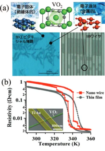 図 2 (a) VO 2 薄膜とナノインプリントリソグラフィー法     で作製した VO 2 ワイヤアレイでのドメイン挙動     の光学顕微鏡像（TiO 2 (001) 基板上）。    (b) Al 2 O 3 (0001) 基板上のナノワイヤ（幅 200nm、      電極間距離 400nm）の抵抗率温度依存性及び参     照用 VO 2 薄膜の抵抗率温度依存性。挿入図（着     色合成した VO 2 ナノワイヤの走査型電子顕微鏡     像）。  属相転移、強磁性相転移、強誘電相転移、超伝導