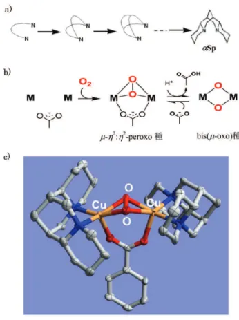 図 2 a) ジアミン配位子の骨格のネットワーク化と    α -isosparteine ( α Sp)     b) 二核遷移金属中心における段階的酸素還元     ・活性化    c) 安息香酸イオンの結合によって安定化した     二核銅 (II) μ - η 2 :  η 2 -peroxo 種の結晶構造 9) 。 (Compound  Q) へと段階的に進む際に、二核鉄中心 架橋するグルタミン酸残基のカルボキシル基の重要 性を示している可能性もある。また、光合成の明反 応における酸素発生中心のマ
