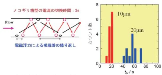 図 9 （左図）電磁吸脱着クロマトグラフィーの概念図、     （右図）10μm と 20μm のポリスチレン粒子の分離例、キャピラリー長 1mm, 流速 60μL/h, 最大電流 2mA。 図 10 （左図）パルス磁場により観測されるファラデー回転（セル長 1cm、磁場 5.5T）、    （右図）水（体積磁化率 -9.01 × 10 -6  ）とトルエン（-7.77 × 10 -6  ）のファラデー回転画像ある。ファラデー回転角は、物質の厚さと磁束密度に比例する。ファラデー回転は電子の運動に起因するので