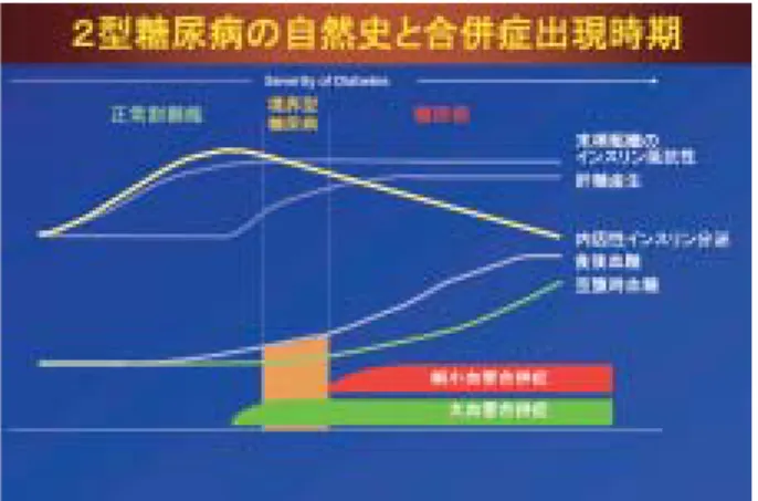 図 8：２型糖尿病の自然史と合併症（細小血管合併症および    大血管合併症）出現時期    細小血管合併症は、糖尿病の発症とともに出現するが、    大血管合併症は境界型糖尿病発現の時期から発現する。 図 7：糖尿病の罹病年数と合併症     （細小血管合併症）発症の関連性図 6：糖尿病の慢性（血管）合併症    右に大血管合併症、左に細小血管合併症をしめす。 経を養っている血管などが長期続いた高血糖のために障害される細小血管合併症と、心臓の冠動脈、脳の動脈、下肢などの動脈の動脈硬化が糖尿病で増悪する大血