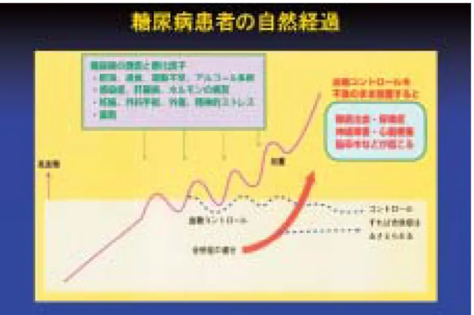 図 11：遺伝子診断の優れている点 図 10：動脈硬化症などの生活習慣病は、食生活・運動習慣     などの環境因子と遺伝因子によって引き起こされる。     関連する多数の遺伝因子を SNPs チップにより同定     し、発症予測アルゴリズムより、動脈硬化症の早期     診断が可能となる。 糖尿病合併症の予防−遺伝子診断を用いたリスク診断 糖尿病と同様に、糖尿病の血管合併症も発症・進展に多数の遺伝因子の関連性が示されています。血管内や細胞内にタンパク質や脂質との結合力が強い活性酸素が増加した状態である