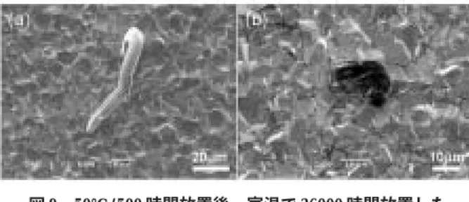 図 10 50℃/500 時間放置後、室温で 500 時間放置した     試料の界面組織（左：銅、右：黄銅端子材） 図 9 50℃/500 時間放置後、室温で 36000 時間放置した    試料ウィスカ発生状況（左：銅、右：黄銅端子材） て大きく成長しました。また、50℃、500 時間保持 した場合は同様に粒界を中心に成長しますが（図 10） 、その後の室温放置では大きな変化は現れませんでした。一方、黄銅端子試料は銅端子試料に比べて金属間化合物が明らかに小さく、室温放置 670 時間後にも大きな成長は見