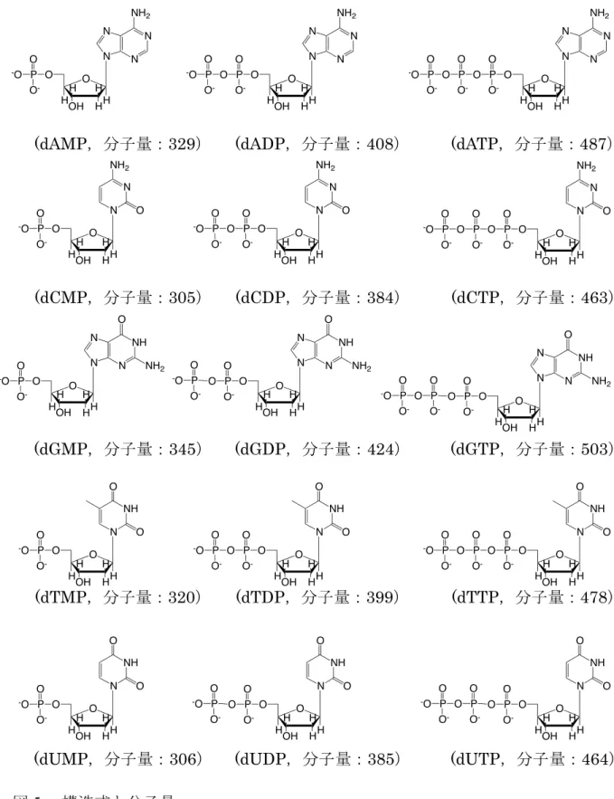 図 5.    構造式と分子量