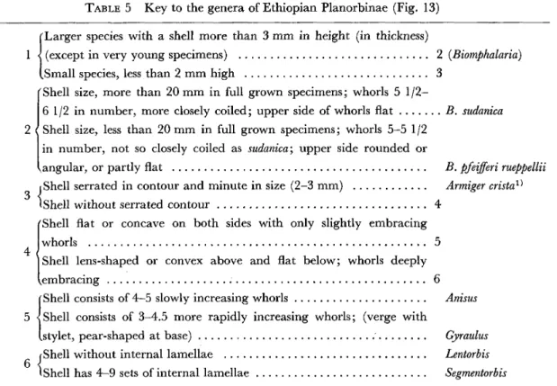 TABLE 5  Key to the genera of Ethiopian Planorbinae (Fig. 13)  JLarger species with a shell more than 3 mm in height (in thickness)  l l(except in very young specimens) . . . . . . . . . . . . . . . . . . . . . . . . . . . . . .  Small species, Iess than 2