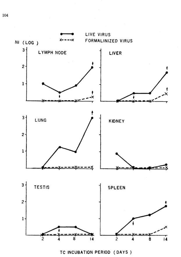 Fig. 6  '  LIVE VIRUS  Nl (LOG ) X‑‑‑‑X FORMALINIZED VIRUS 3 LYMPH NODE LIVER l  f ̲ ̲ ̲‑X ' . . 3 LUNG KIDNEY t 2 1 3 TESTIS SPLEEN l , 8 TC INCUBATION PERIOD ( DAYS )  Neutralizing activities of tissue culture fluids from monkeys inoculated with live or 