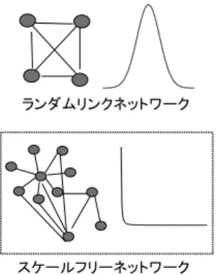 図 3 ネットワークトポロジーと感染頻度分布 20.3 遷移確率の推定 遷移確率には，何らかの確率分布を仮定するか，部分集団あるいは個人ごとの確率をフィールドオブザーベーション から推定する必要がある。元にするデータには，大別して (1) 文献資料， (2) アンケートあるいは聞き取りによるデー タ， (3) 直接観察データ，がある。文献値は，そのホスト＝パラサイト系の特徴として，どこでも変わらないと考えら れる確率ならば使っていいだろう。また，直接調査するにはコストがかかりすぎるようなデータも，文献値で済