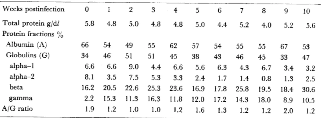 Table 2 Changes in the average total protein and protein fractions in sera of four mongrel  dogs infected with B. gibsoni  Weeks postinfection O  Total protein g/dl 5.8  Protein fractions o/o  Albumin (A) 66  Globulins (G) 34  alpha‑1 6.6  alpha‑2 8 . 1  b