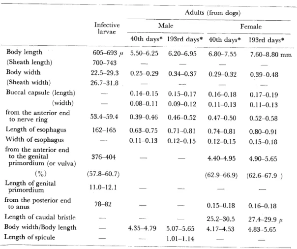 Table 2  Measurements of the infective larvae and  dogs of Vietnam‑strain‑hookworms 