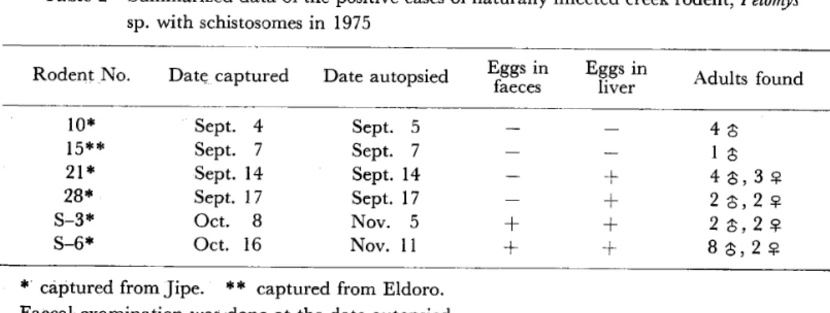 Table 2 Summarized data of the positive cases of naturally infected creek rodent, Pelomys  sp. with schistosomes in 1975 