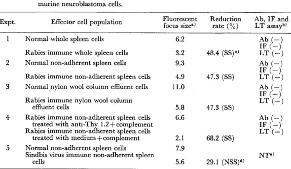 Table 1  Fluorescent focus slze reduction by immune spleen cells in rabies virus‑infected  murine neuroblastoma cells. 