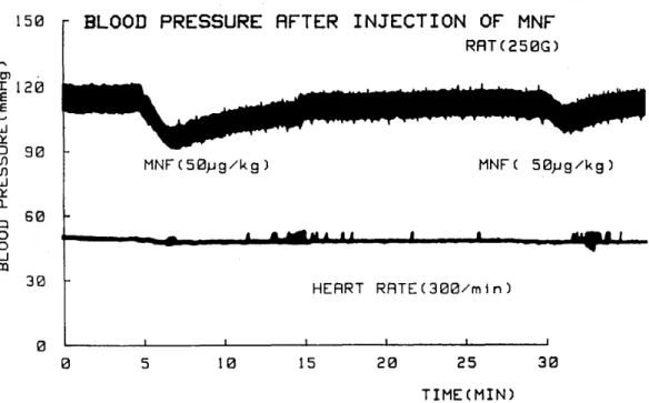 Figure 3  Changes of blood pressure and heart rate of a rat after intravenous  injection of MNF. Blood pressure abruptly fell by the first injection, but  the degree of hypotension was slight by own second injection. 