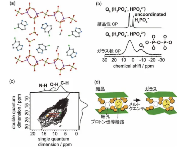 図 3   （ a ） [{Zn 2 (HPO 4 ) 2 (H 2 PO 4 )}(ClbimH + ) 2 ・ (H 2 PO 4 − ) ・ (MeOH)] n の 結 晶 構 造。 紫： Zn 、 黄： P 、赤： O 、青： N 、黒： C を示す。水素は省略している。（ b ）室温における 31 P CP  -MAS スペクトル。（ c ）室温におけるガラス状 CP の超高速 1 H - 1 H DQNMR スペクトル（回 転速度： 70 kHz ）。 O–H と C–H （緑）、 N–H と 