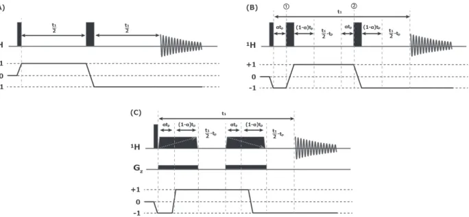 Figure 14   （ A ）通常の J 分解測定のパルスシーケンス。（ B ）複数回積算で strong coupling アーティファクト を抑制するパルスシーケンス。 CTP は strong coupling のないスピンの通る経路を示している。 Strong coupling のある場合には①と②の 180 ° パルスの時点でコヒーレンスオーダが変わらず、不要な信号を作り出す。このよ うなアーティファクトは①と②の 2 回のスピンエコーで信号がリフォーカスしないため、 t 1 一点あたり複数の