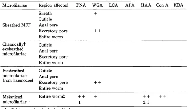 Table 3  FITC‑conjugated lectin binding on Brugia pahangi  microfilariae 