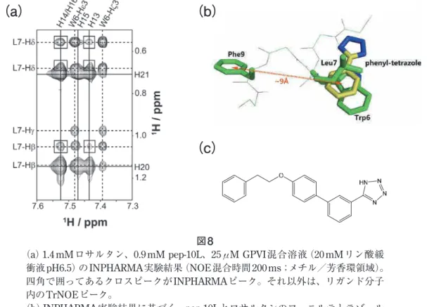 図 8 （ a ） 1.4 mM ロサルタン、 0.9 mM pep-10L 、 25 μ M GPVI 混合溶液（ 20 mM リン酸緩 衝液 pH6.5 ）の INPHARMA 実験結果（ NOE 混合時間 200 ms ；メチル／芳香環領域）。 四角で囲ってあるクロスピークが INPHARMA ピーク。それ以外は、リガンド分子 内の TrNOE ピーク。 （ b ） INPHARMA 実験結果に基づく、 pep-10L とロサルタンのフェニルテトラゾール 基の重ね合わせ図。 pep-10L の主鎖（ 