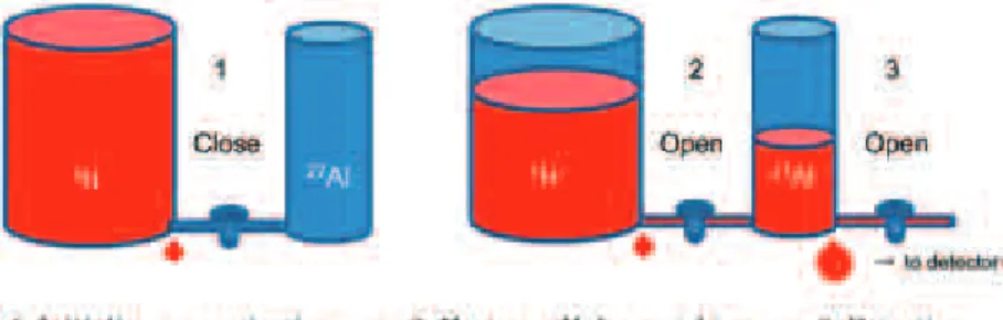 図 7   Model for CP  （ cross - polarization ）  magnetization transfer from 