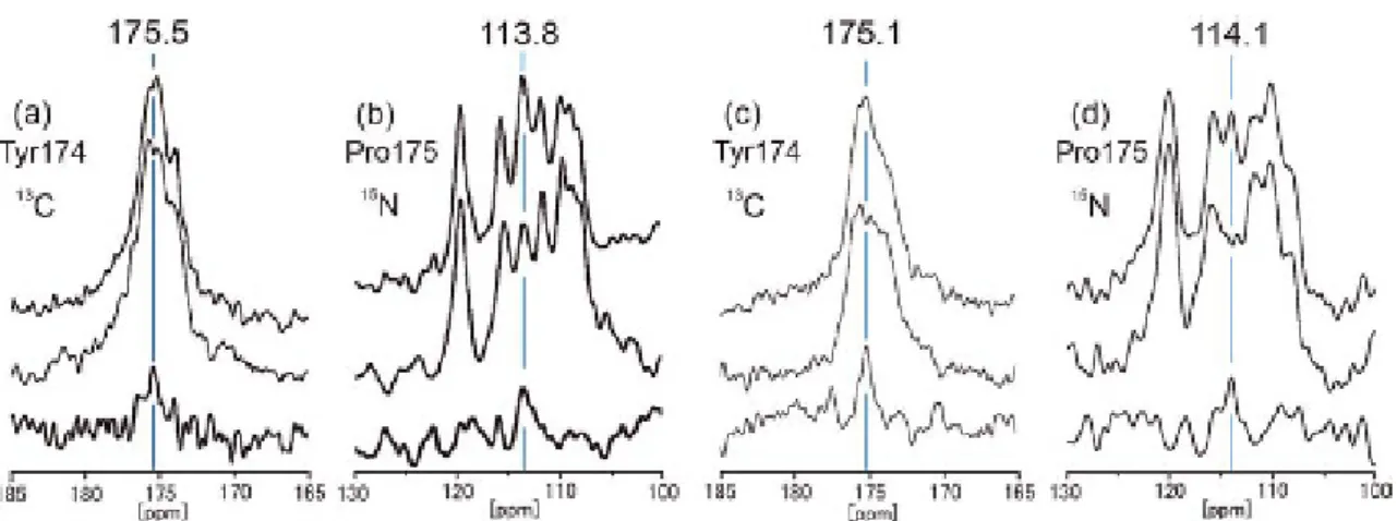Fig. 2 (a), (b) ߦ   [1- 13 C]Tyr, [ 15 N]Pro–ppR ޔ Fig. 2 (c), (d) ߦ [1- 13 C]Tyr, [ 15 N]Pro–ppR/pHtrII complex ߩၮᐩ⁁ᘒߩ 13 C REDOR filter ᷹ቯߩ⚿ᨐࠍ␜ߔޕ Fig