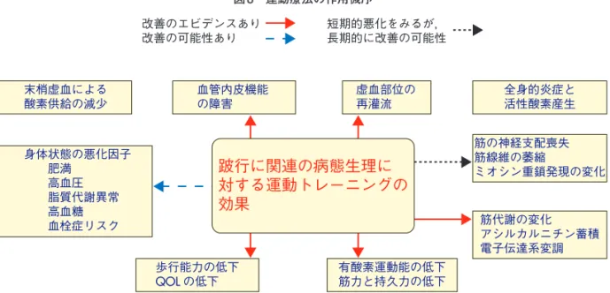 表 46　末梢循環障害の分類 Fontaine 分類と Rutherford カテゴリー分類 Fontaine Rutherford グレード 臨床症状 グレード カテゴリー 臨床症状 Ⅰ 無症候 0 0 無症状 Ⅱ a 軽度の跛行 Ⅰ 1 軽度の跛行 Ⅱ b 中等度から重度の跛行 Ⅰ 2 中等度の跛行 Ⅰ 3 重度の跛行 Ⅲ 虚血性の安静時疼痛 Ⅱ 4 虚血性の安静時疼痛 Ⅲ 5 わずかな組織喪失 Ⅳ 潰瘍または壊疽 Ⅲ 6 大きな組織喪失