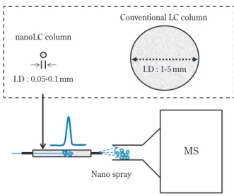 Fig. 1 Mechanism of high sensitivity in  nanoLC-MS/MS System I.D : 1-5 mmI.D : 0.05-0.1 mmnanoLC column Conventional LC column Nano sprayMS