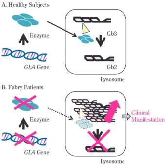 Fig. 3 Structures of Gb3 and Lyso-Gb3 